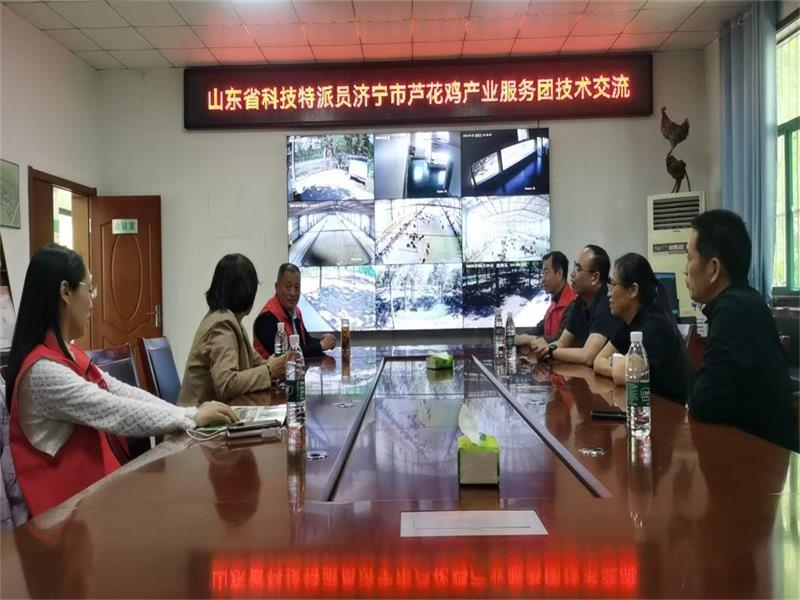 山東省科技特派員濟寧市蘆花雞產(chǎn)業(yè)服務(wù)團開展技術(shù)交流指導(dǎo)